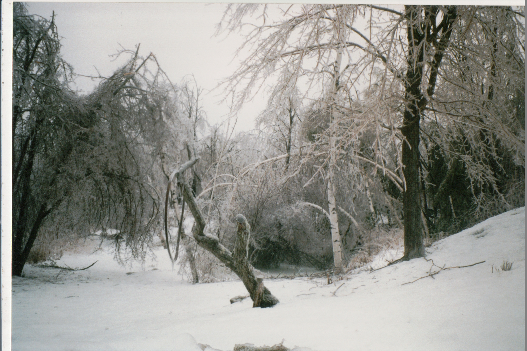 Mike Thorne, Ice Storm ’98 044