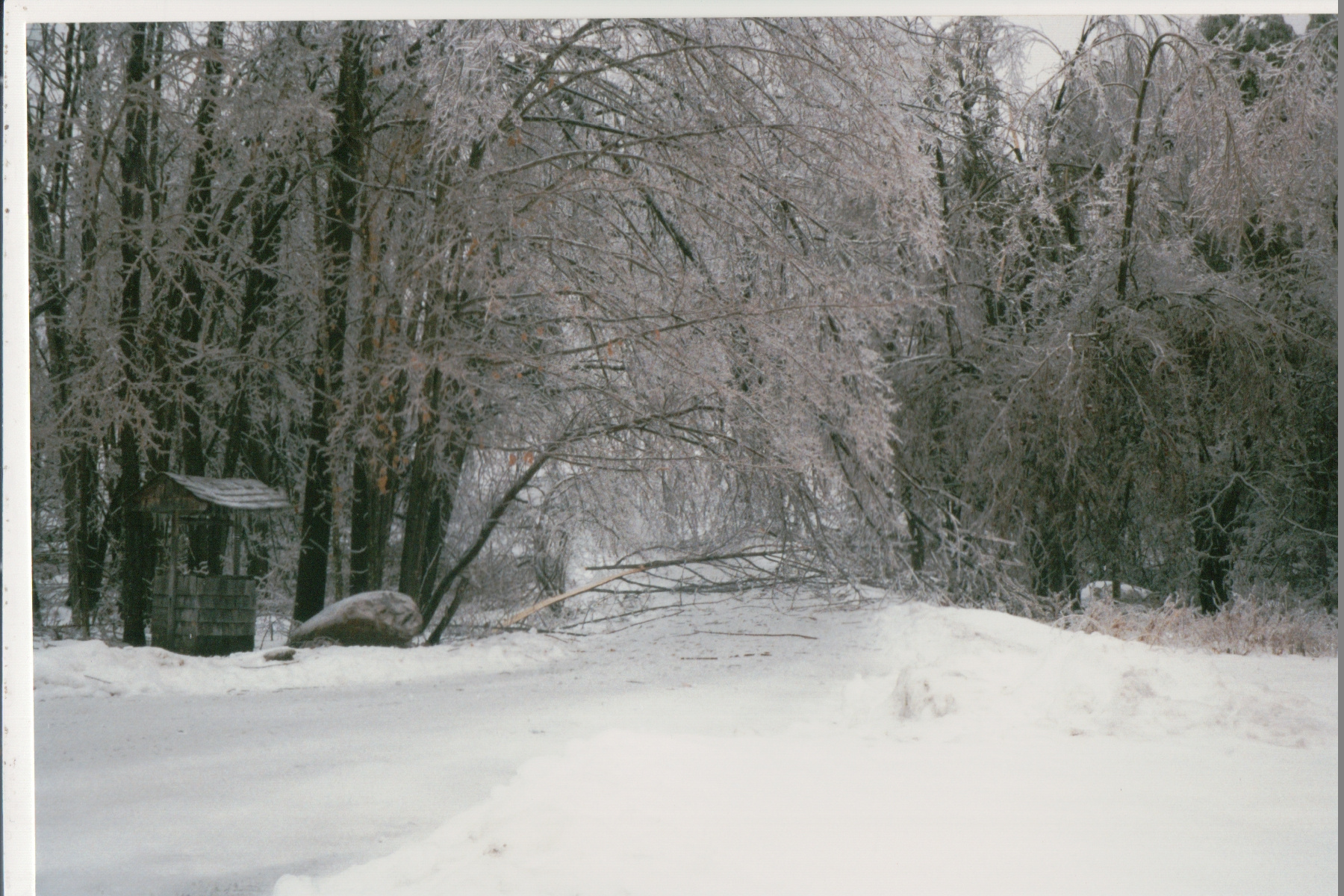 Mike Thorne, Ice Storm ’98 034