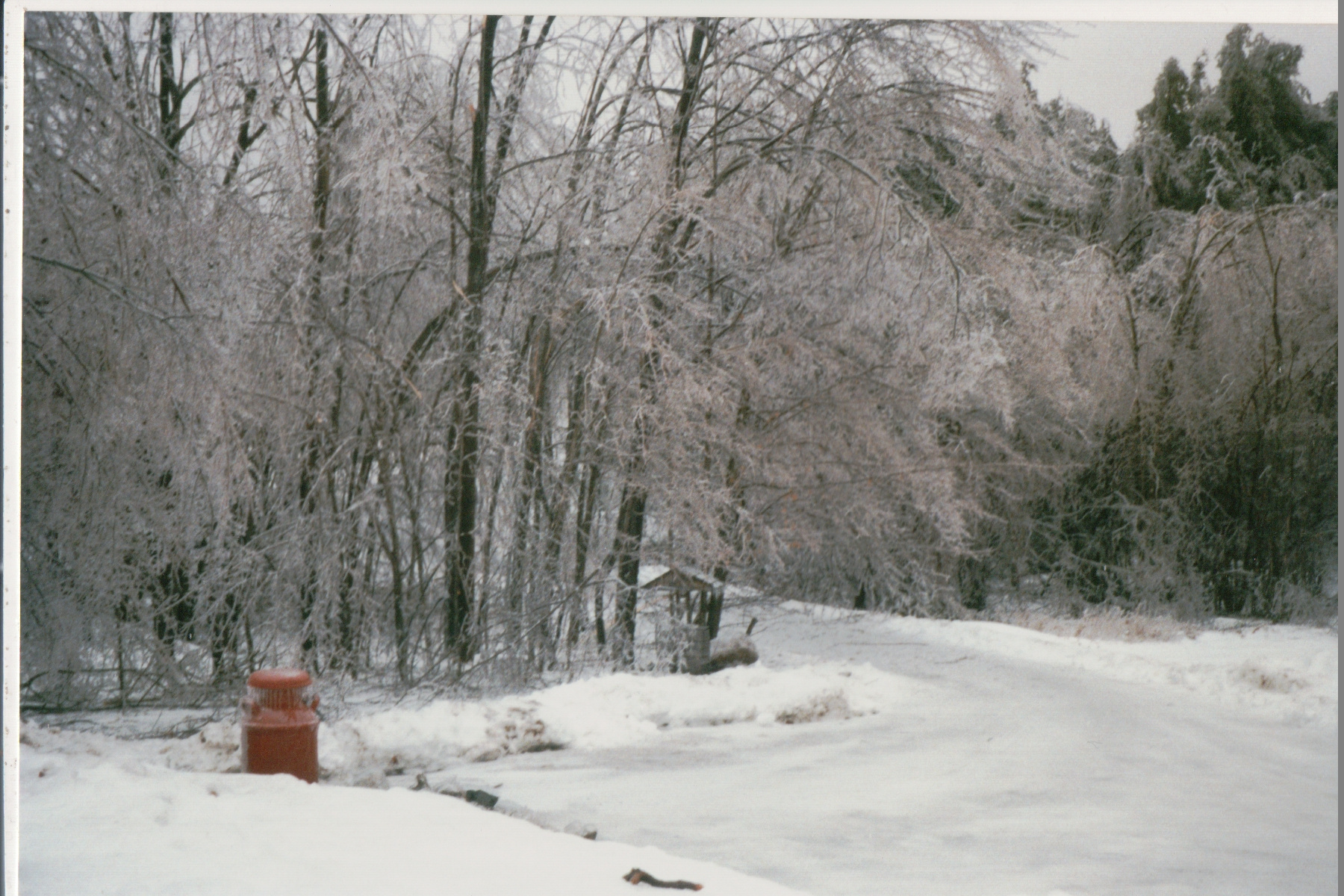 Mike Thorne, Ice Storm ’98 032