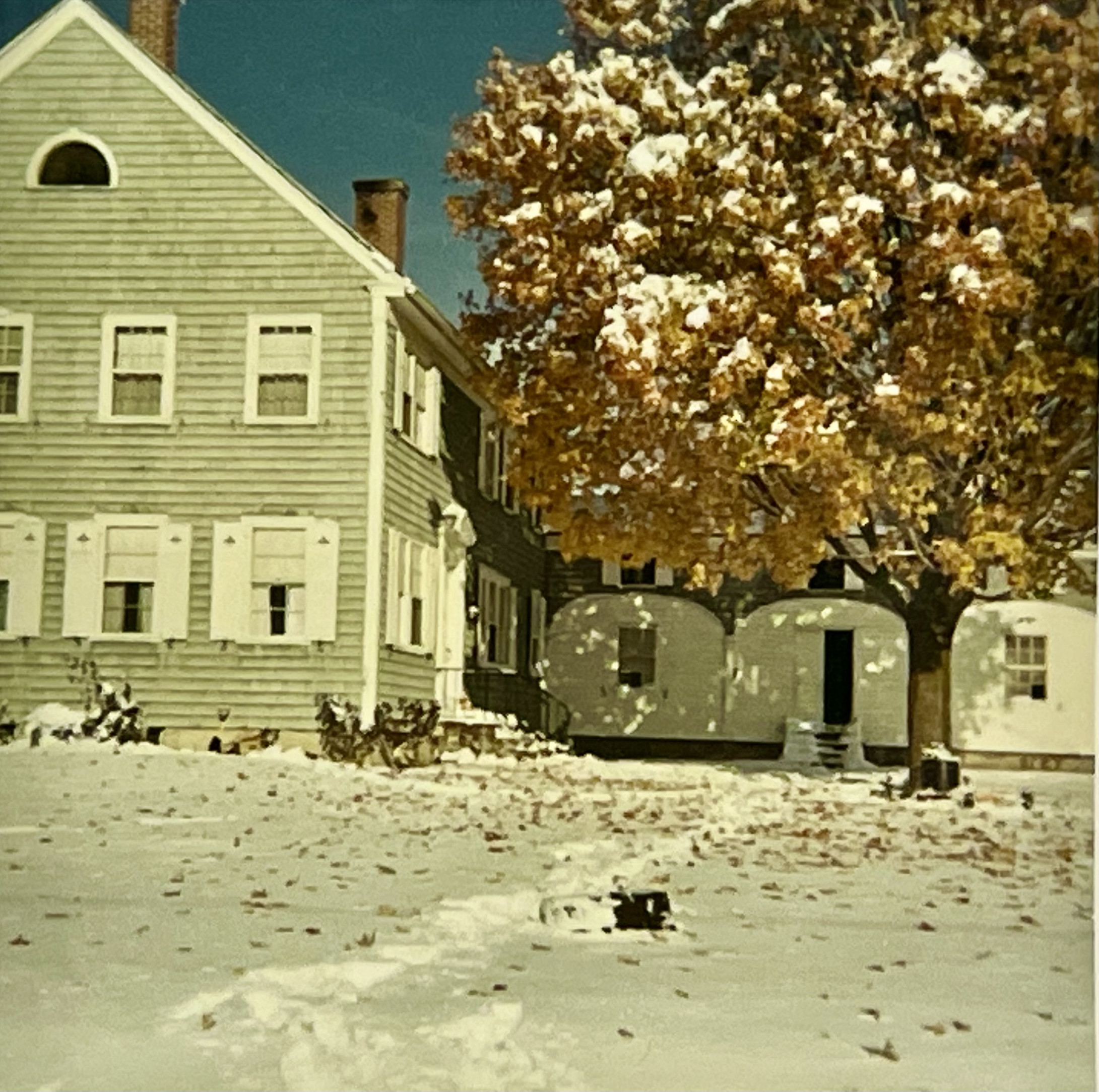 Arcadia Farm, circa 1968 Gift of Priscilla (Miller) Thomas