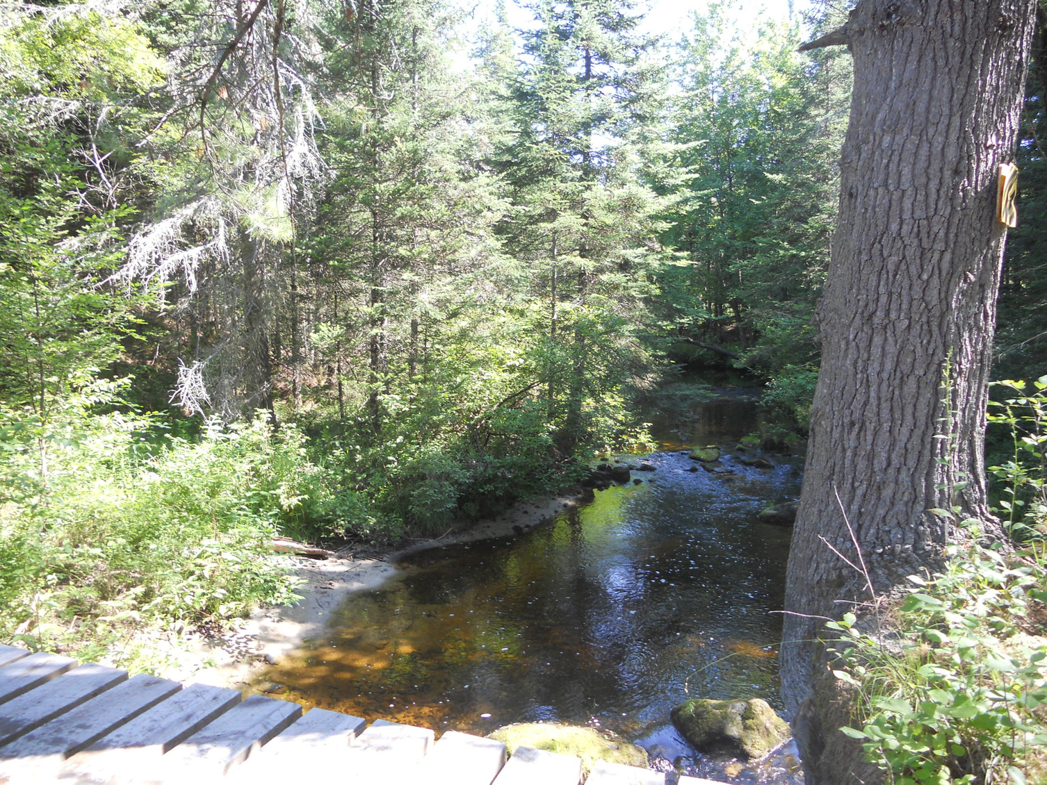 Smith Brook mill site at Jugtown Road, July 2012