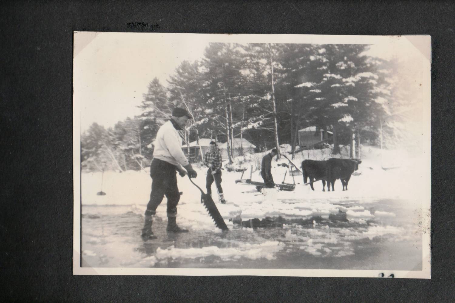 Guy Tucker cutting ice, 1940s