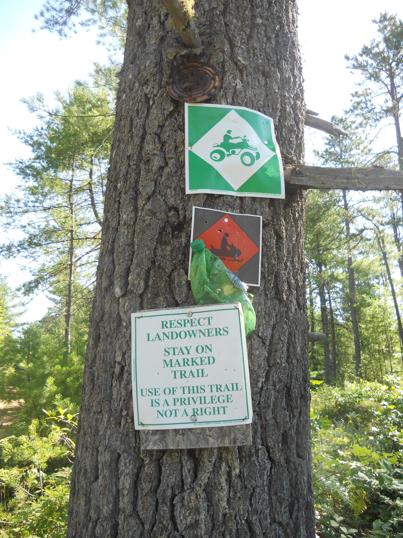 Signs on tree near Burgess Brook Trail, Jugtown, July 2012