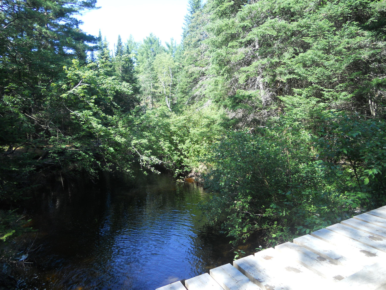 Smith Brook bridge, Pipeline trail 2, Jugotwn, July 2012