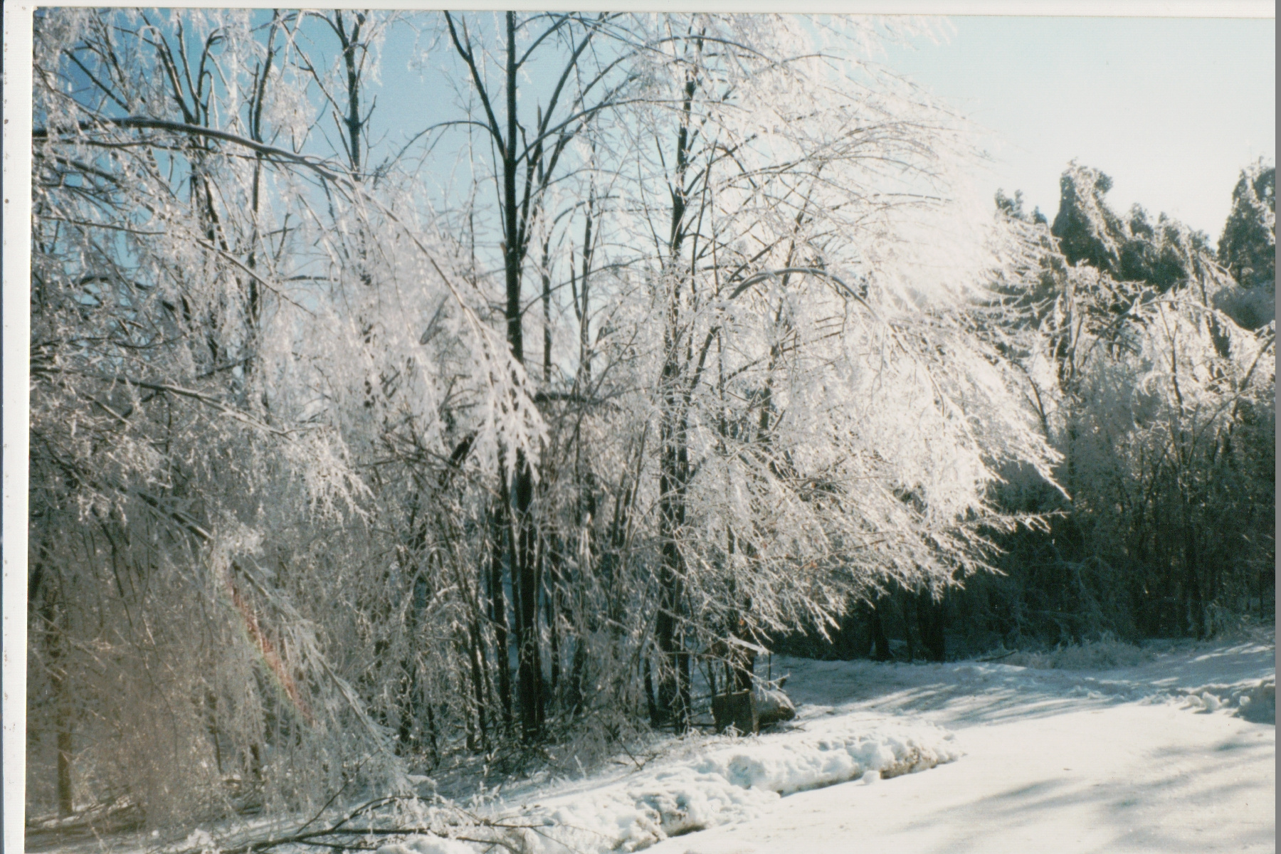 Mike Thorne, Ice Storm ’98 008