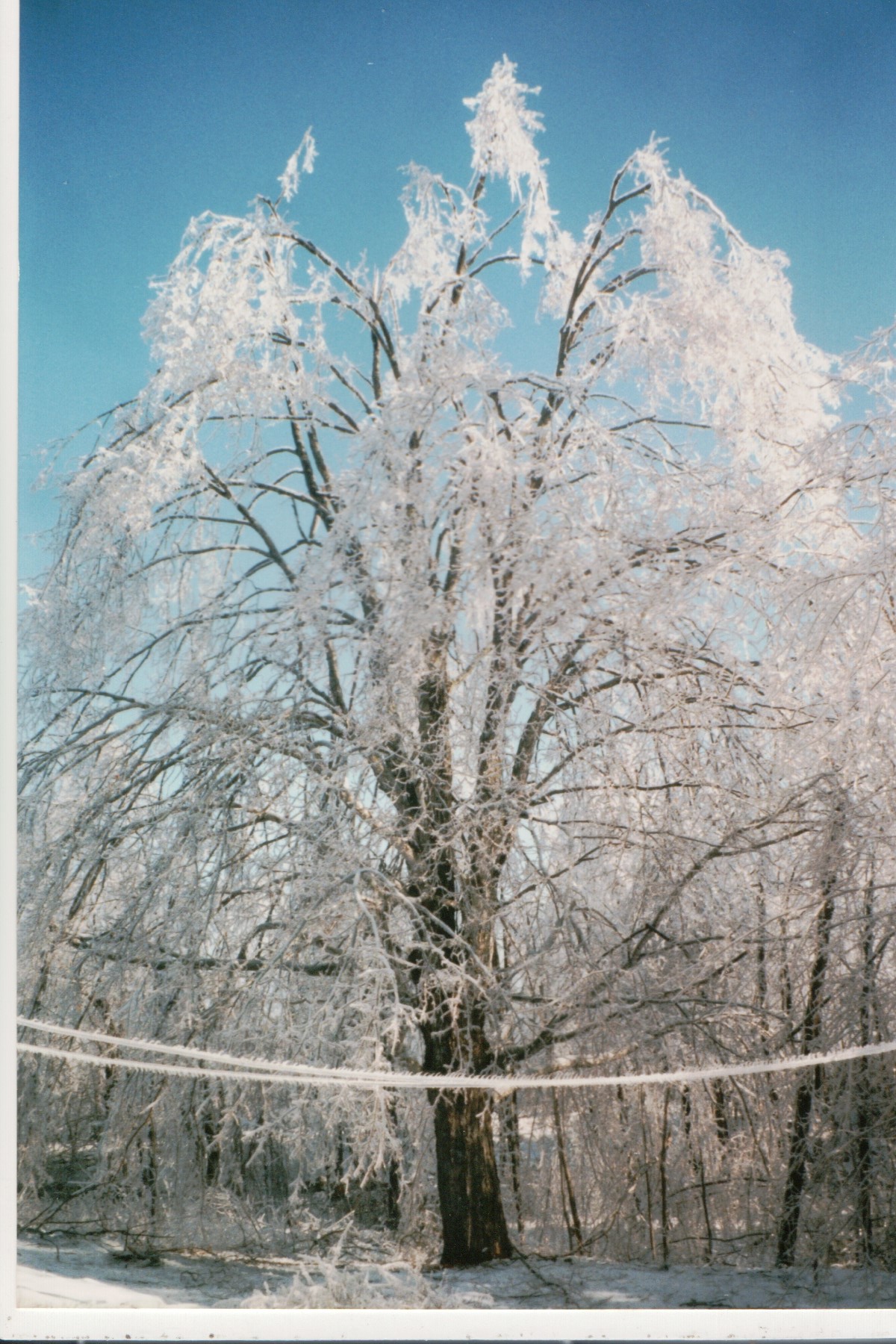 Mike Thorne, Ice Storm ’98 010