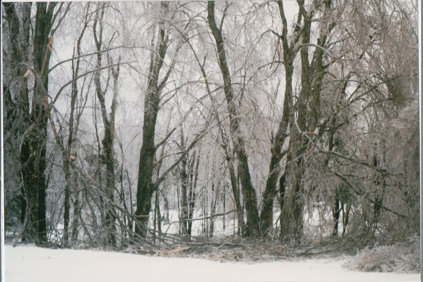 Mike Thorne, Ice Storm ’98 042
