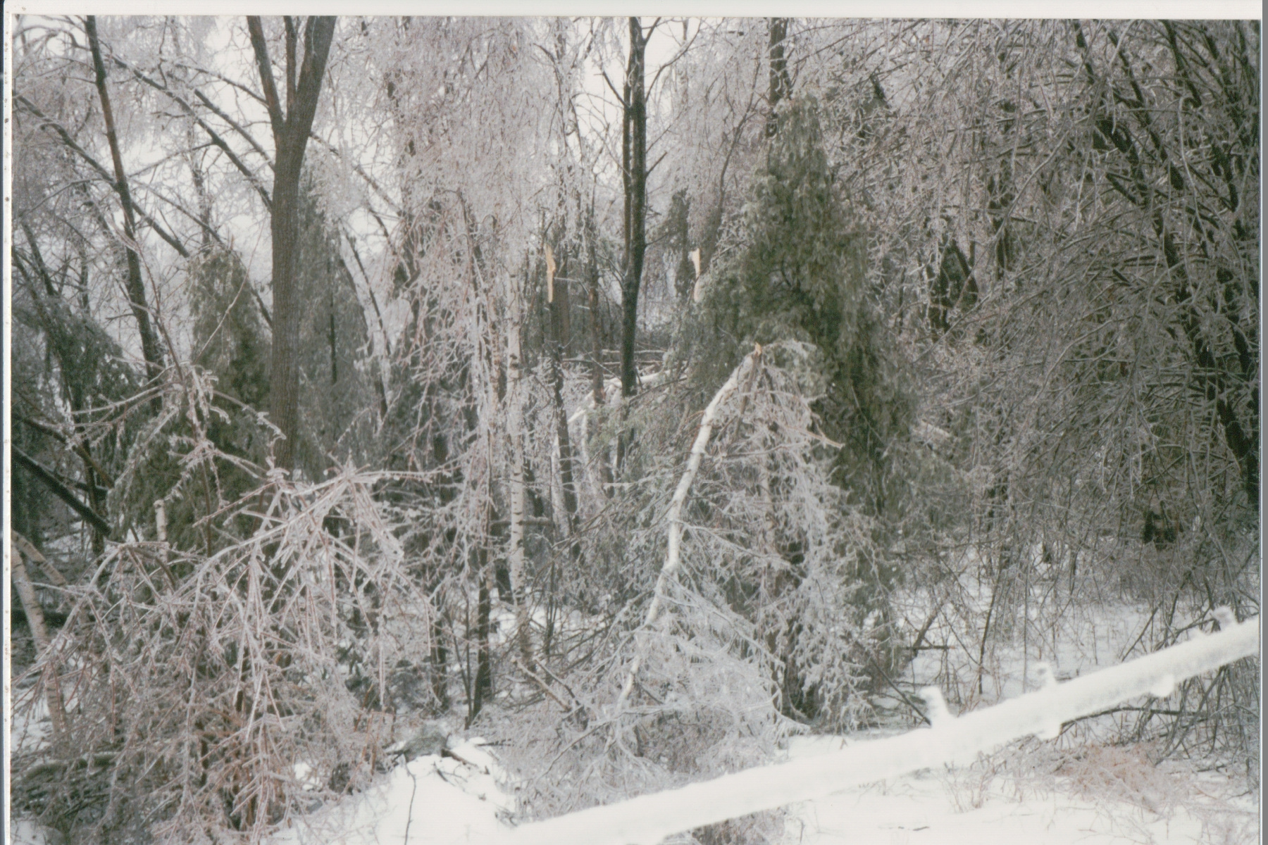 Mike Thorne, Ice Storm ’98 029