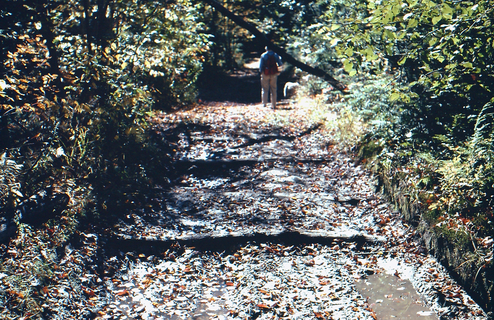 Jugtown, 2009
