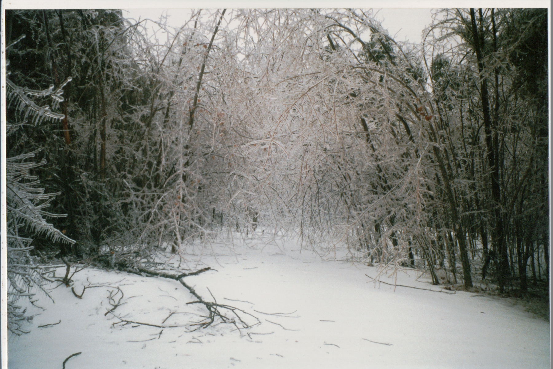 Mike Thorne, Ice Storm ’98 036