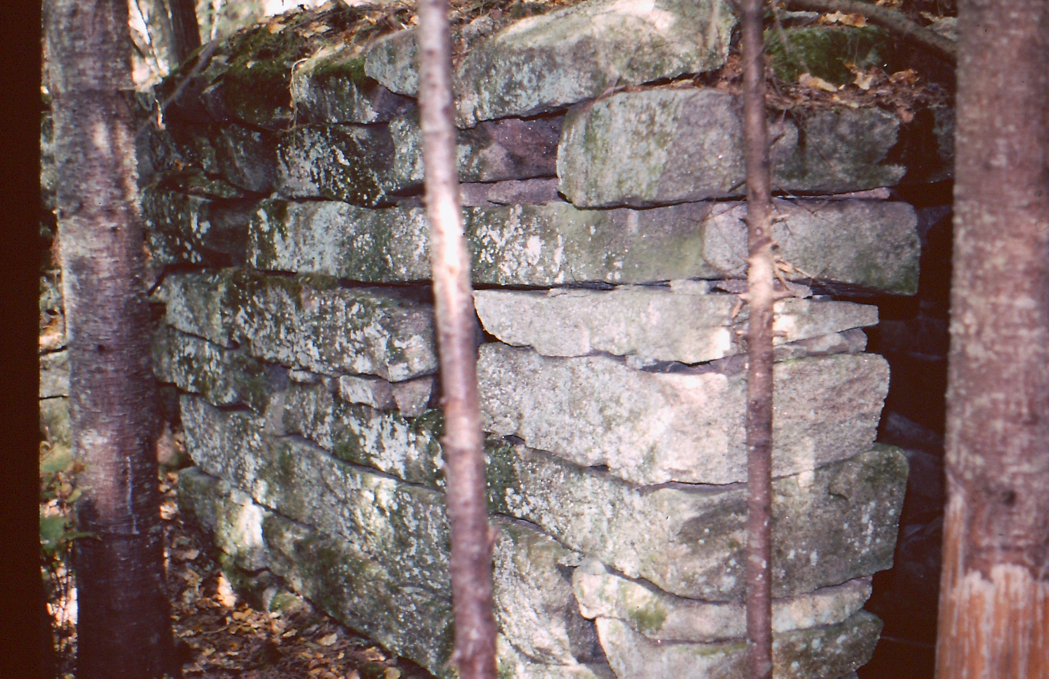 Hamlin House Cellar Hole, Jugtown, 2009