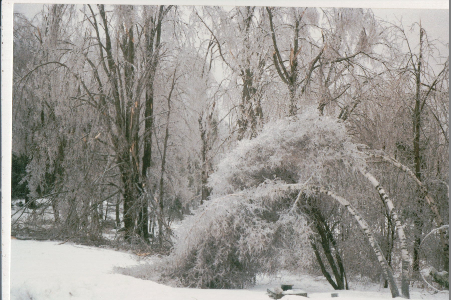Mike Thorne, Ice Storm ’98 030