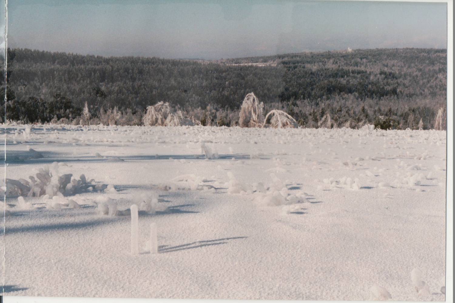 Ice storm 1998, Scribner Hill, photos by Mike Delehanty