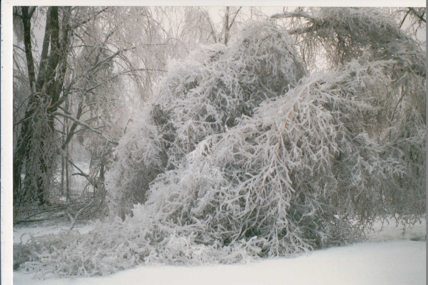Mike Thorne, Ice Storm ’98 055