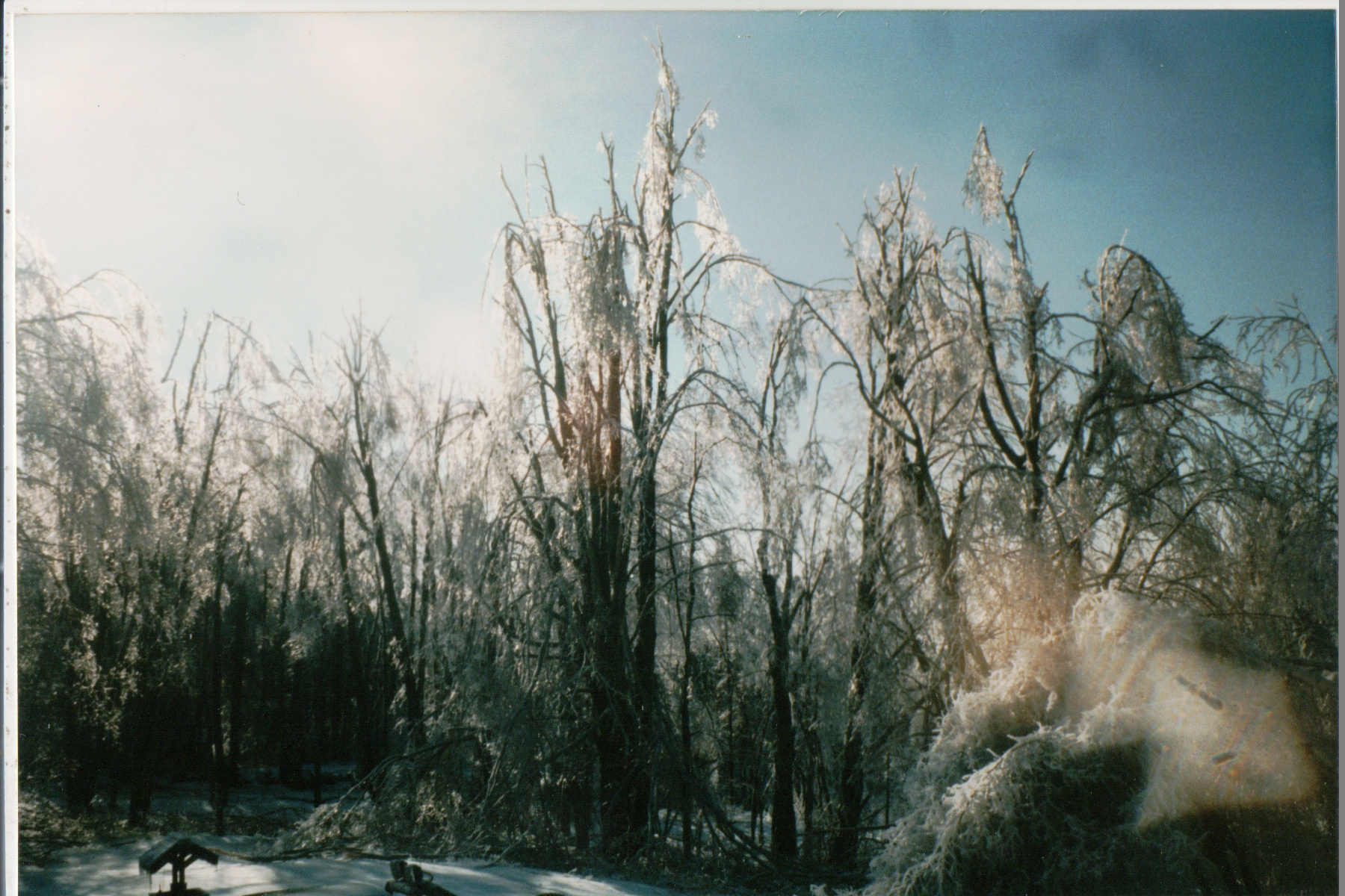 Mike Thorne, Ice Storm ’98 007