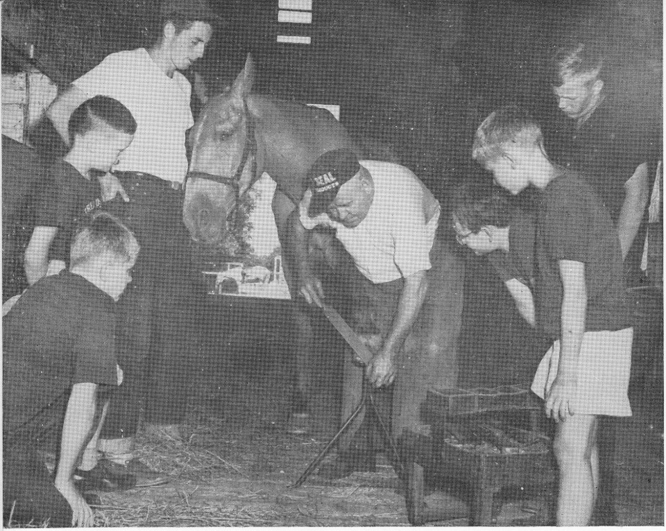 Horseshoe Training
