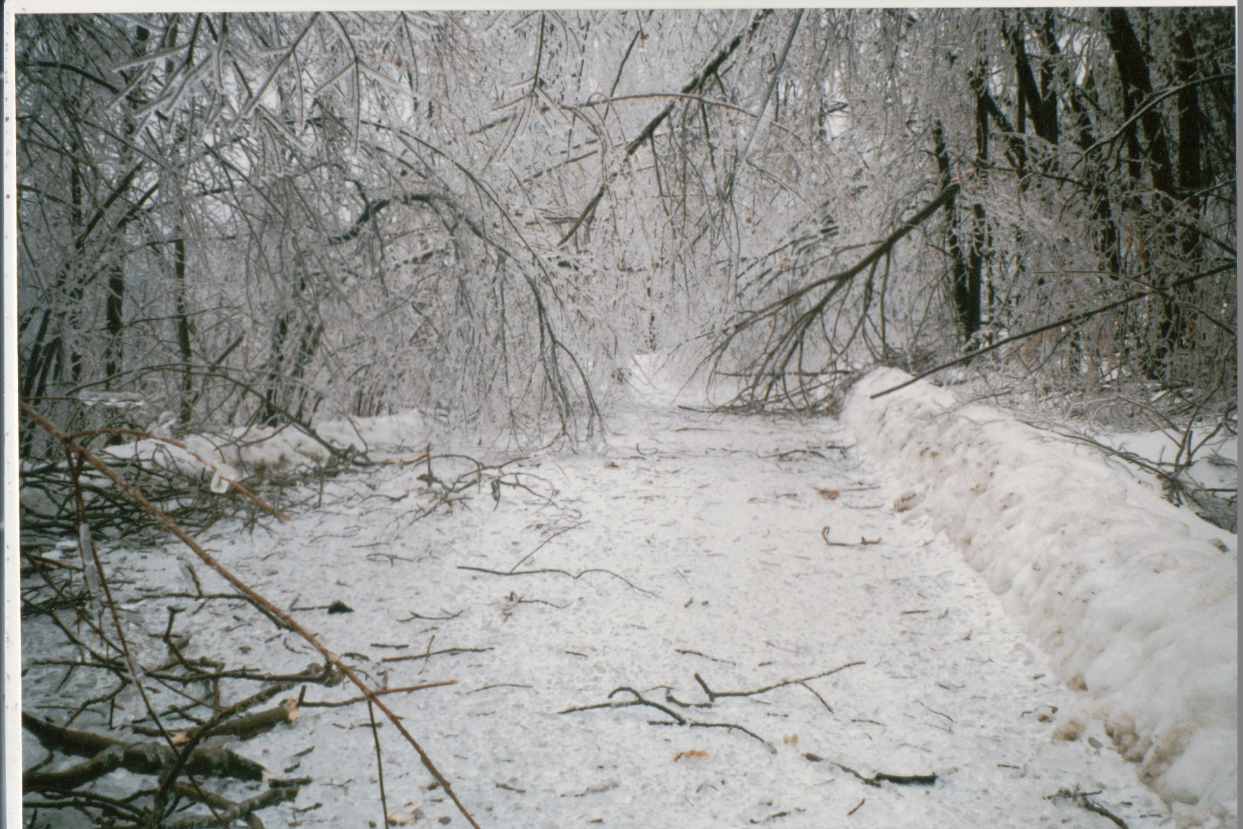 Mike Thorne, Ice Storm ’98 048