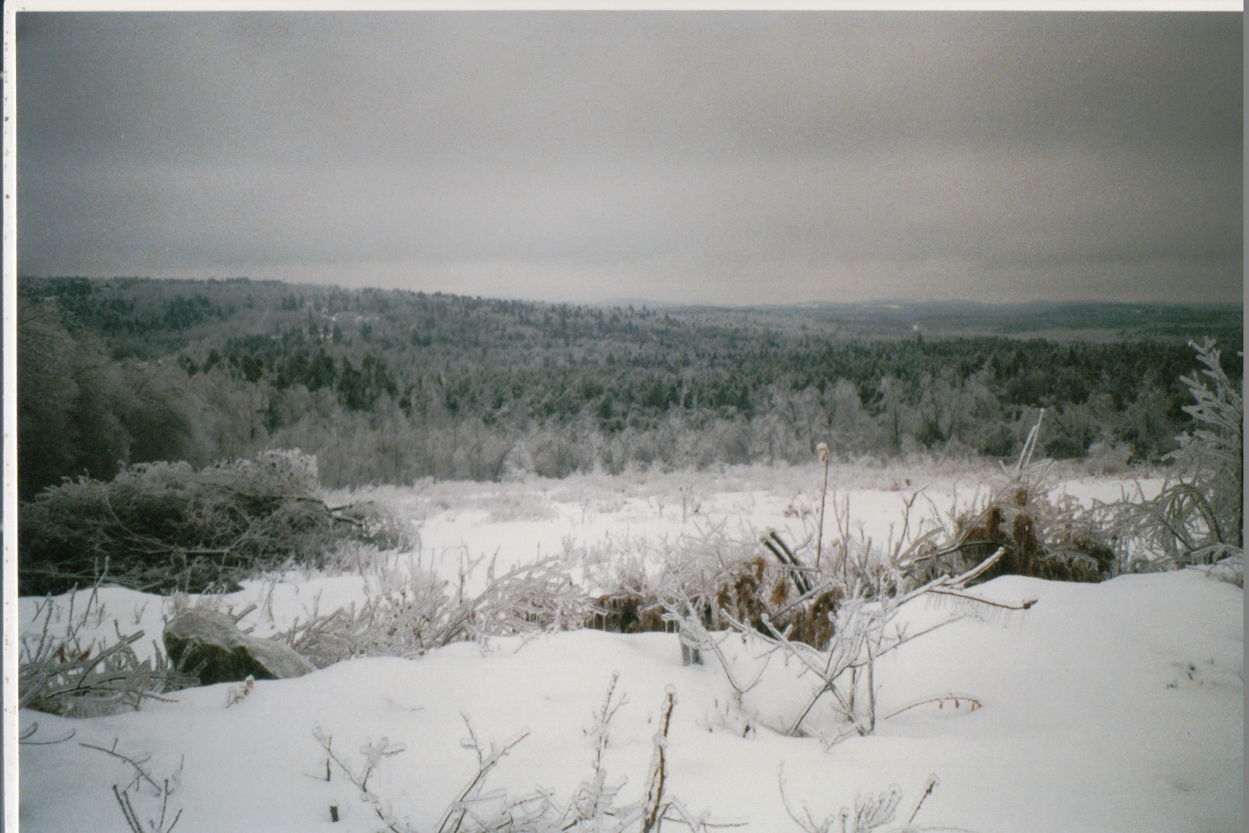 Mike Thorne, Ice Storm ’98 049