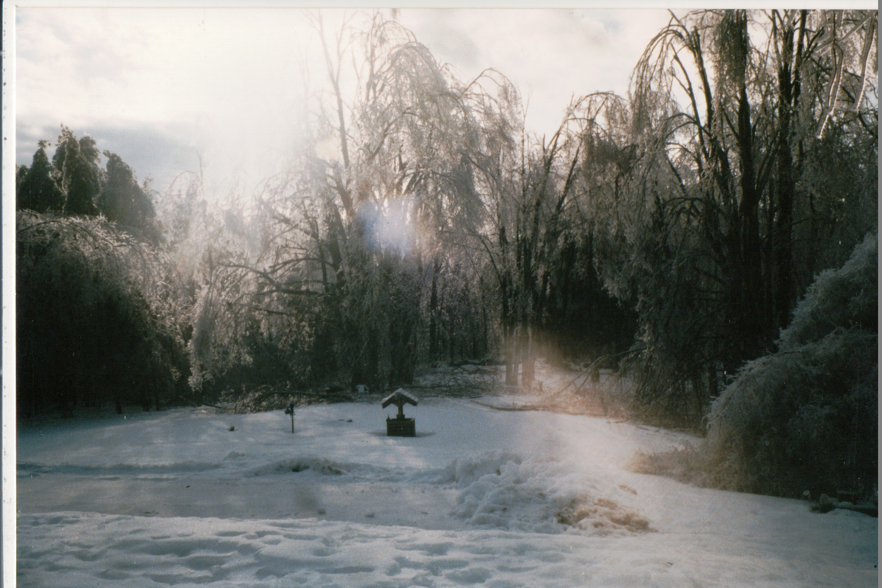 Mike Thorne, Ice Storm ’98 052