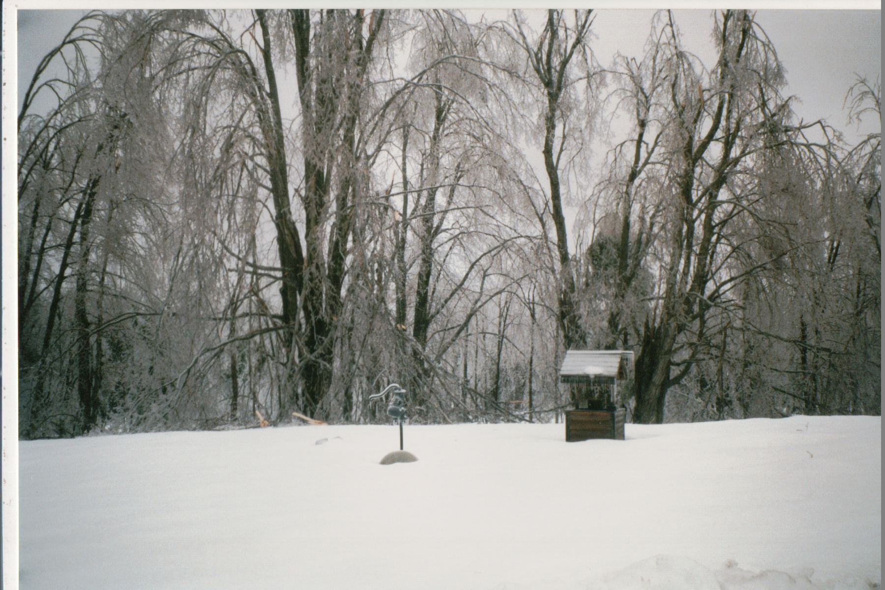 Mike Thorne, Ice Storm ’98 039