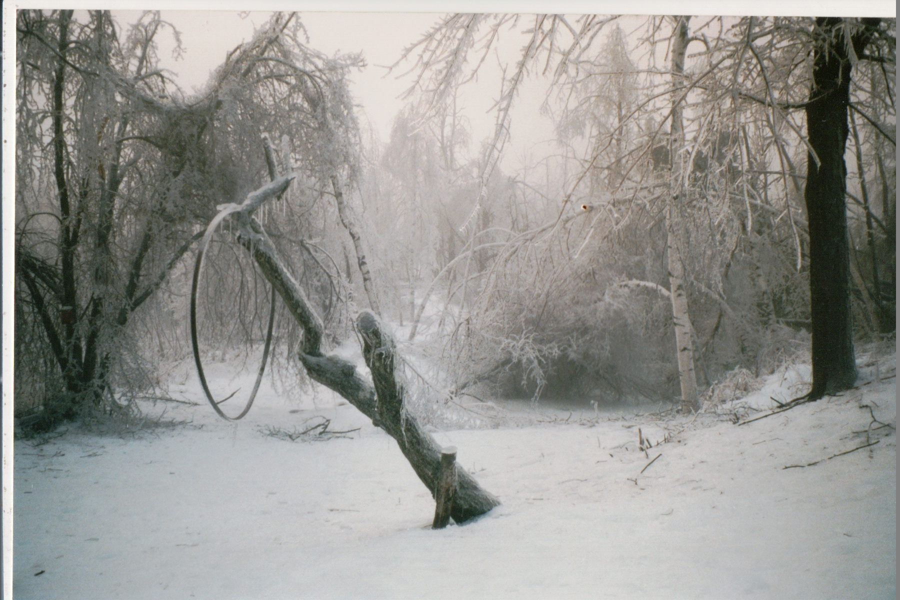 Mike Thorne, Ice Storm ’98 054