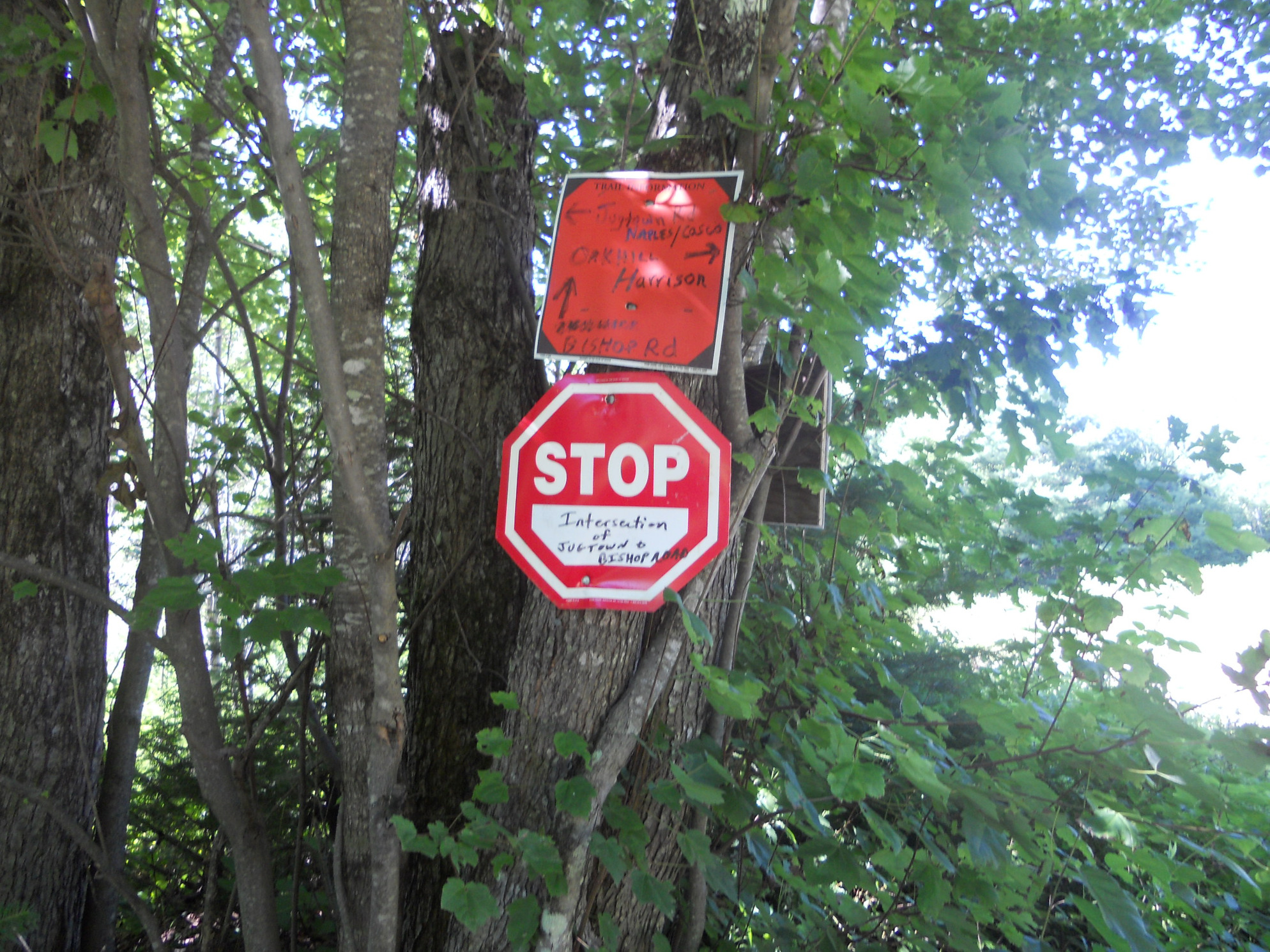 Signs at intersection, Jugtown, July 2012