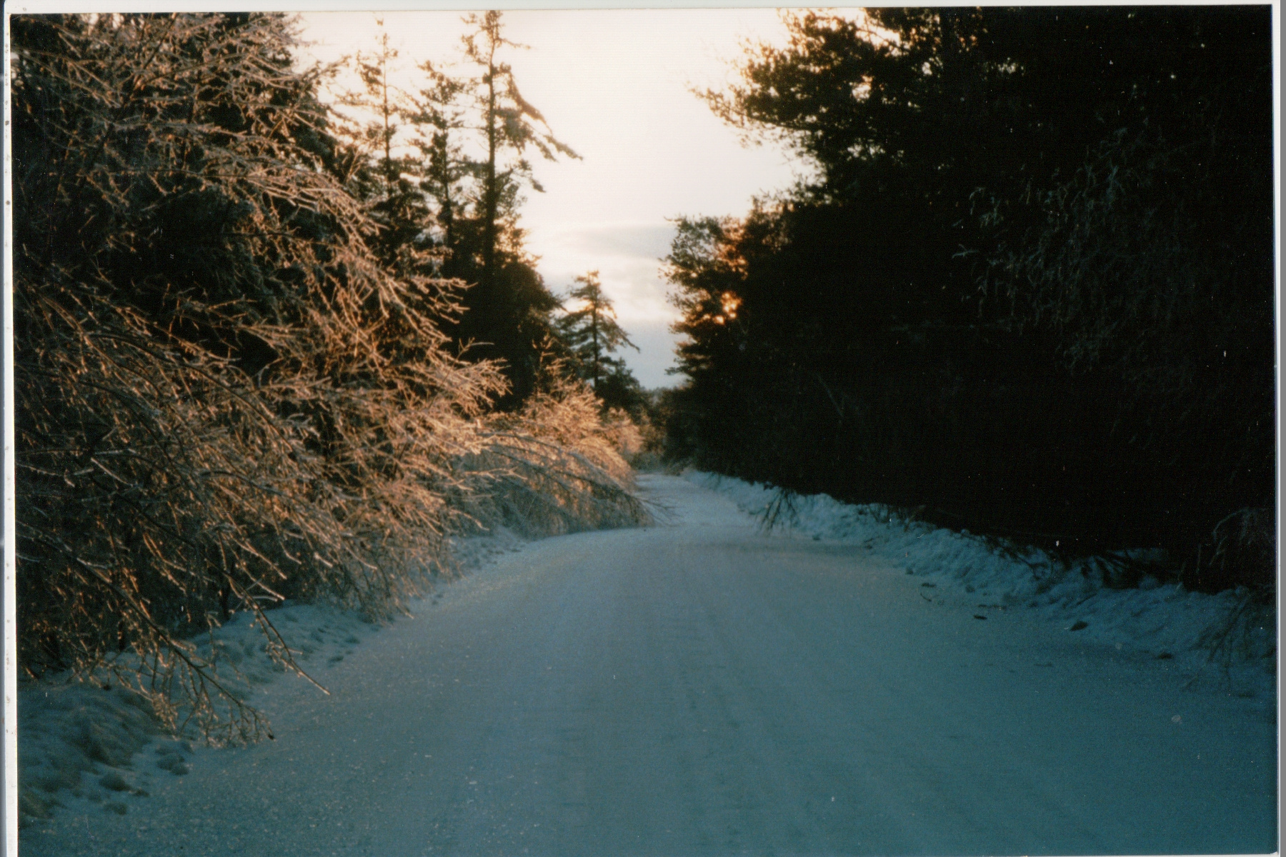 Mike Thorne, Ice Storm ’98 019