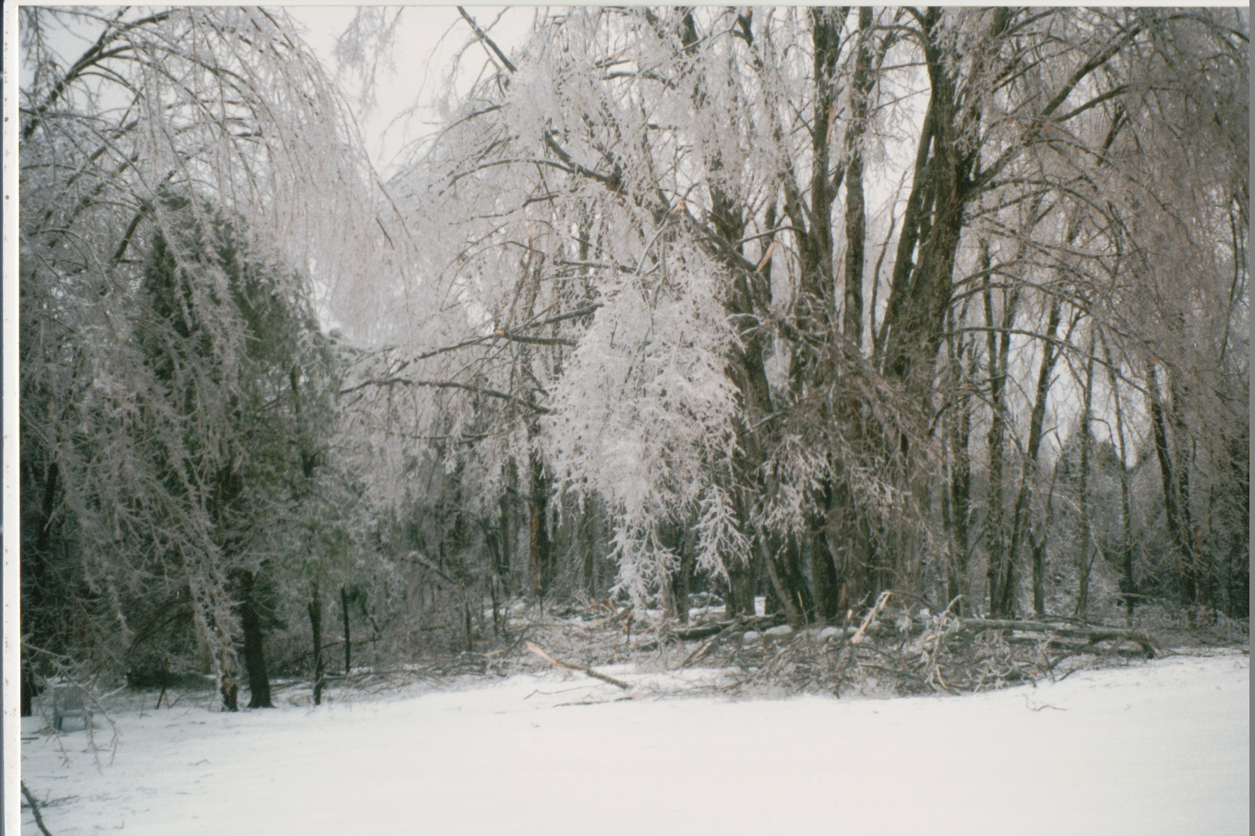 Mike Thorne, Ice Storm ’98 040
