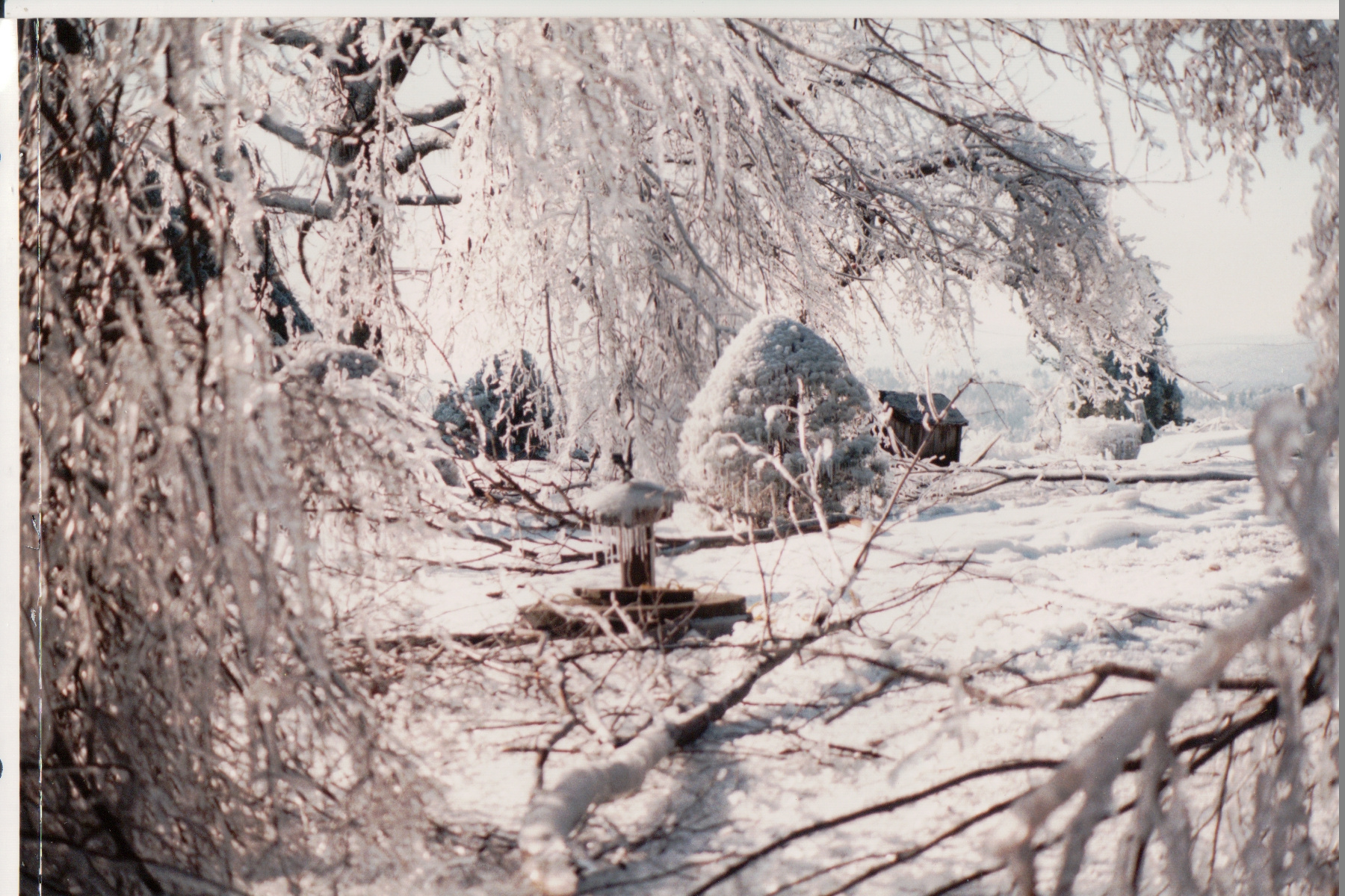 Delehanty ice storm Scribner Hill 010