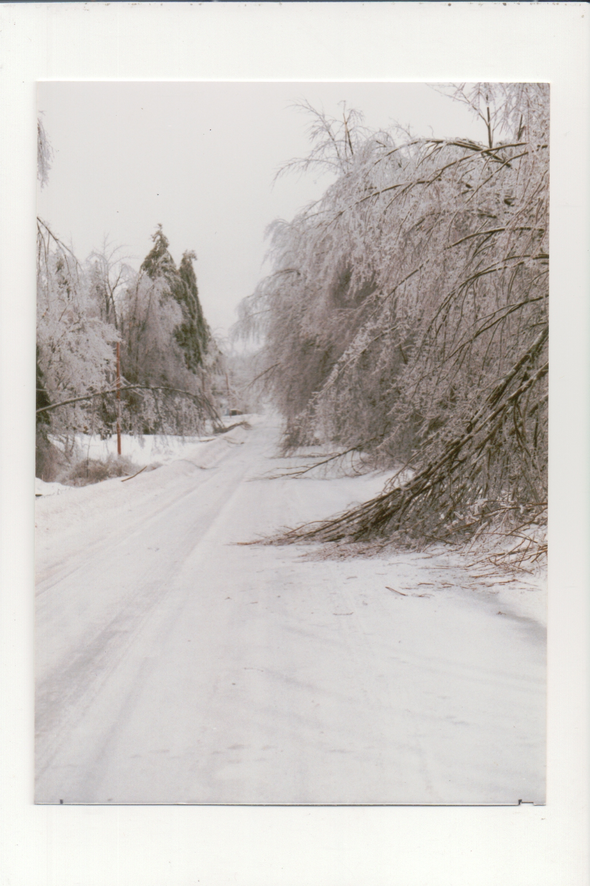 Gore Rd.