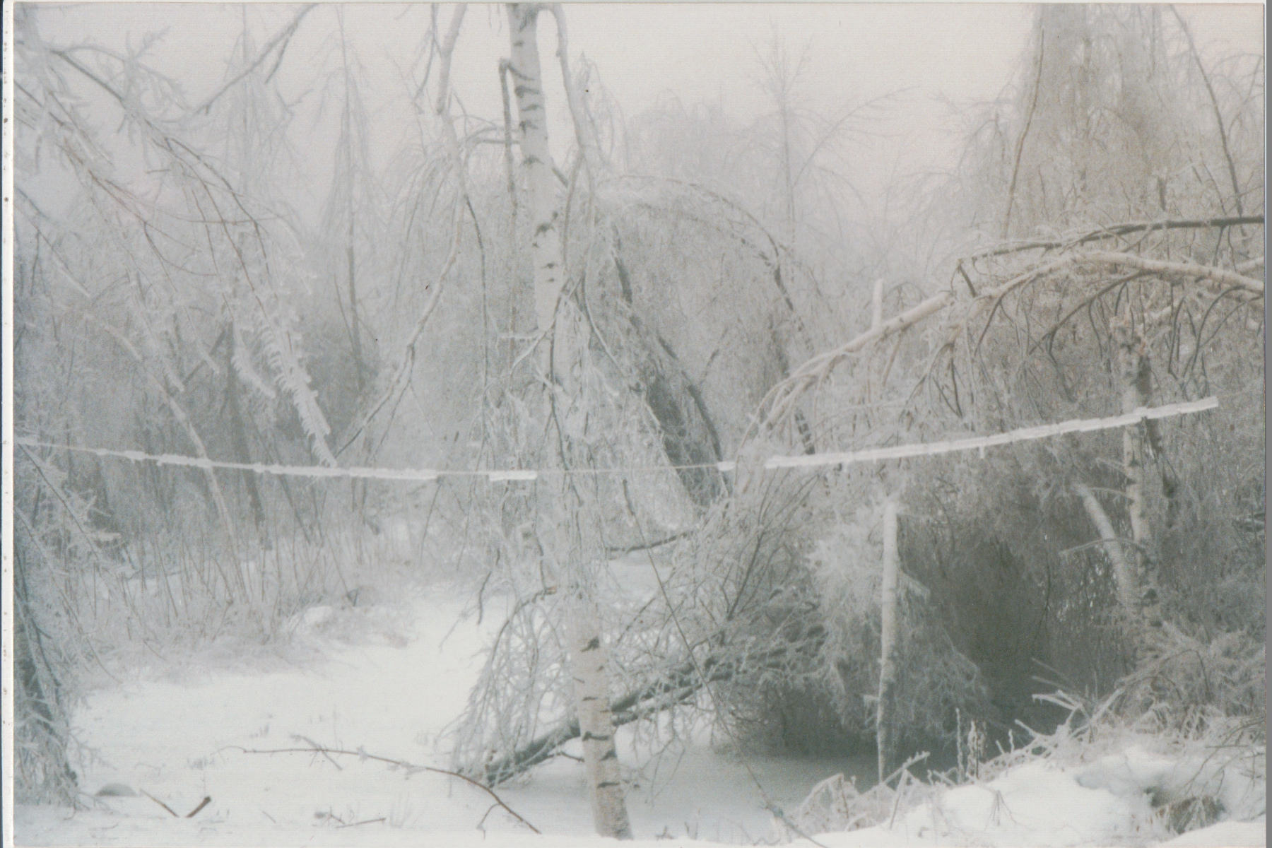 Mike Thorne, Ice Storm ’98 059