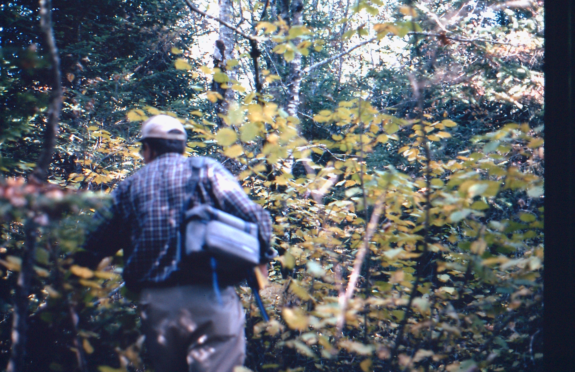 David Hankins searching for a dam, Jugtown, 2009