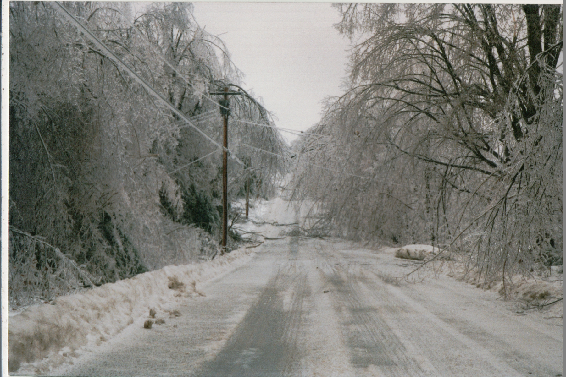Mike Thorne, Ice Storm ’98 045