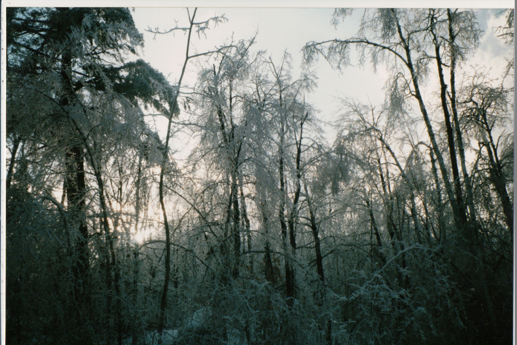 Mike Thorne, Ice Storm ’98 017