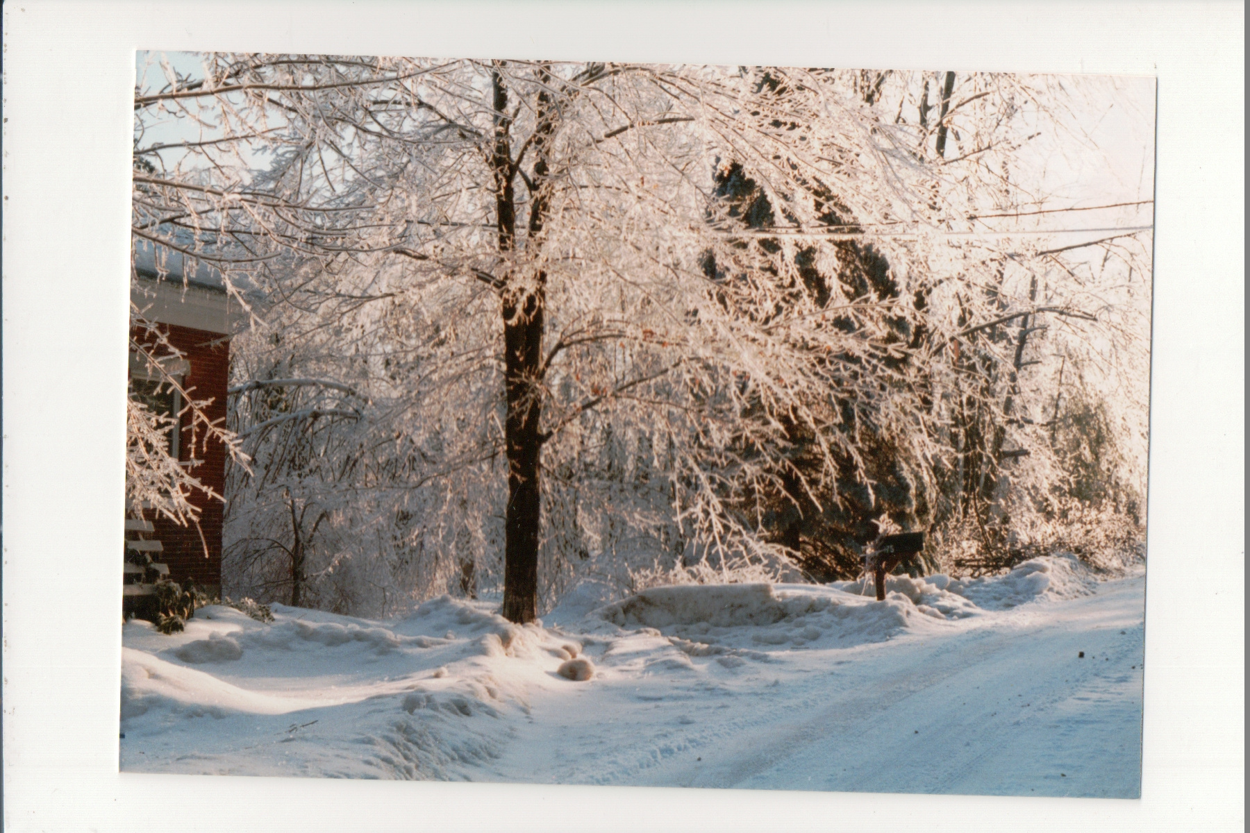 Jackson dooryard