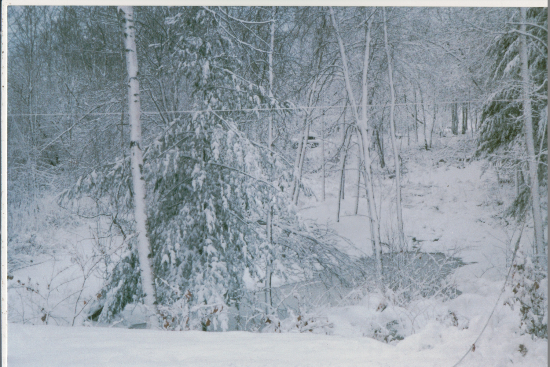 Mike Thorne, Ice Storm ’98 025