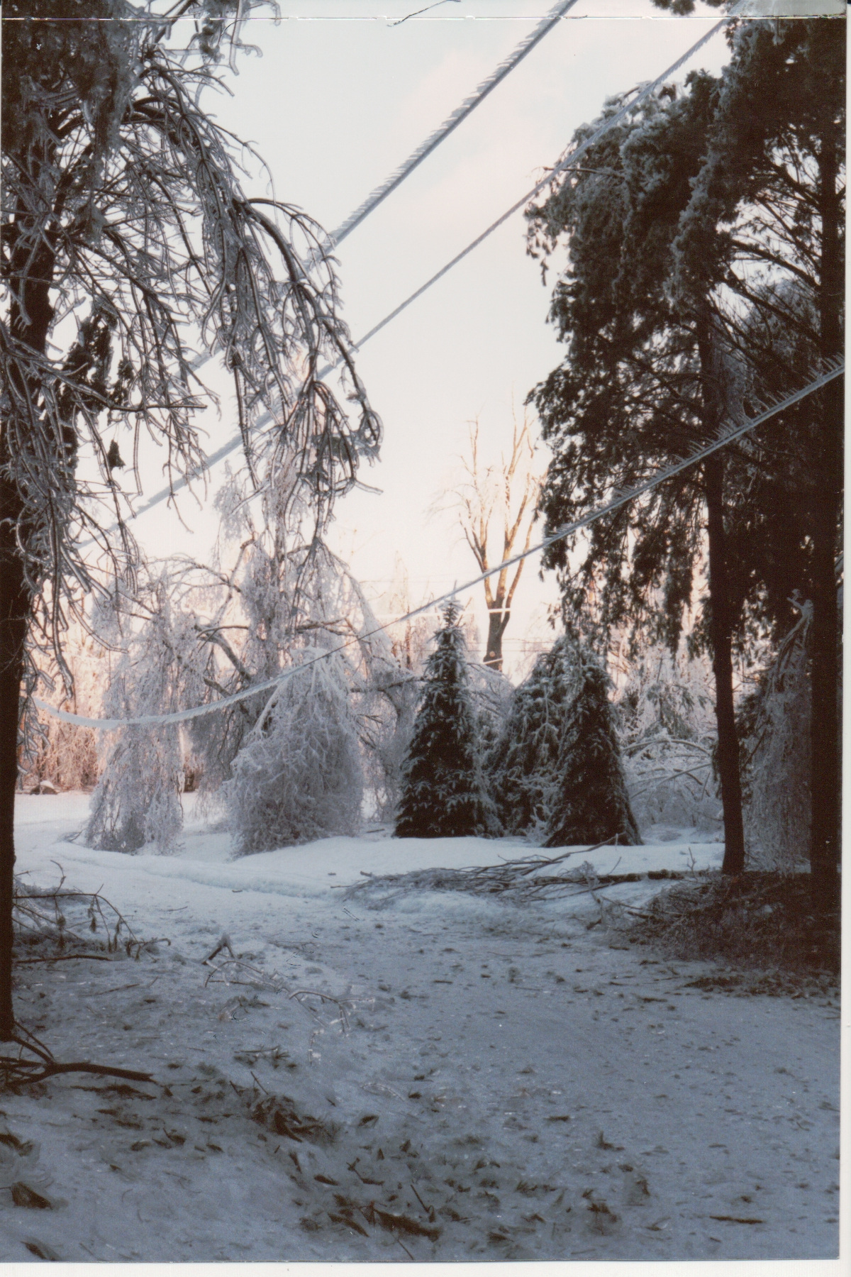 Delehanty ice storm Scribner Hill 034