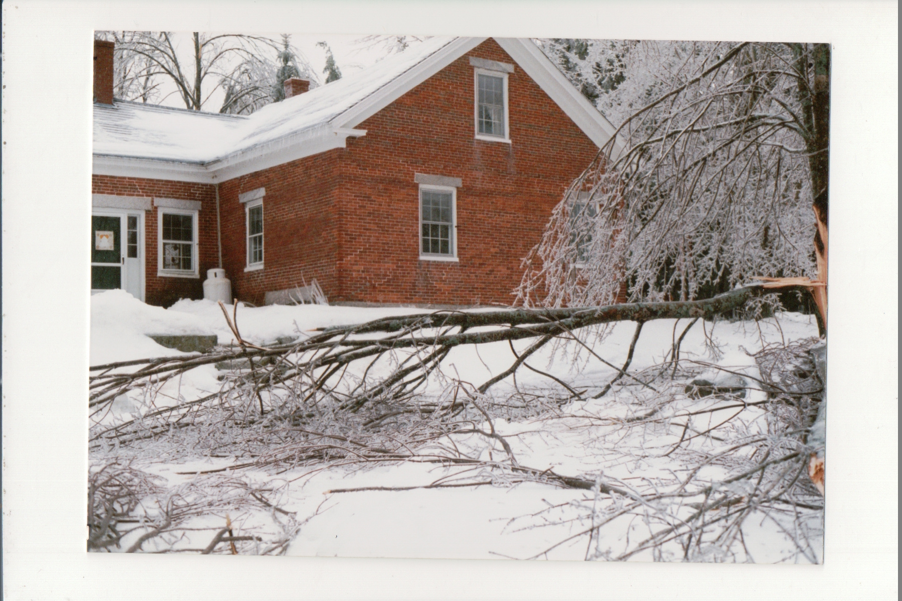 Ice-covered branches outside a brick building