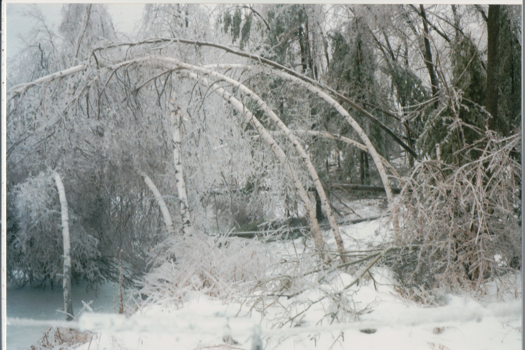 Mike Thorne, Ice Storm ’98 028