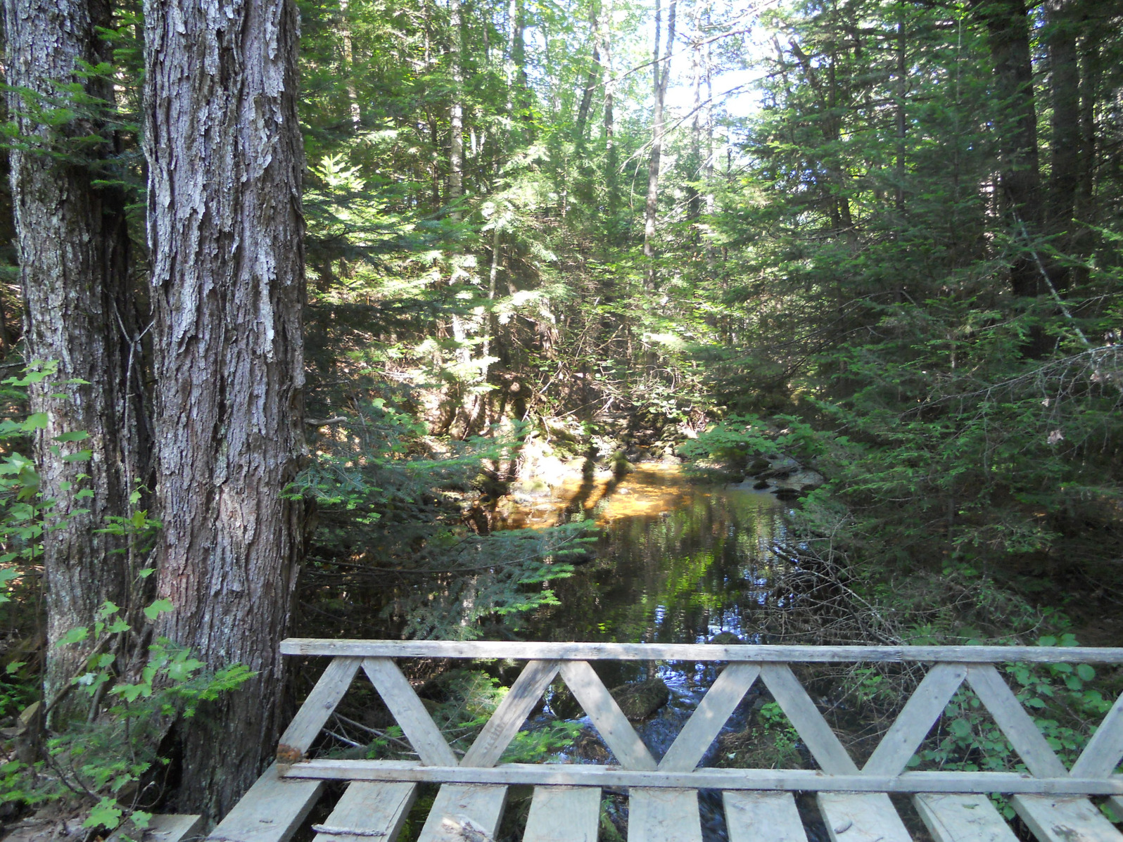 Bridge over Smith Brook, Pipeline Trail, Jugtown, July 2012