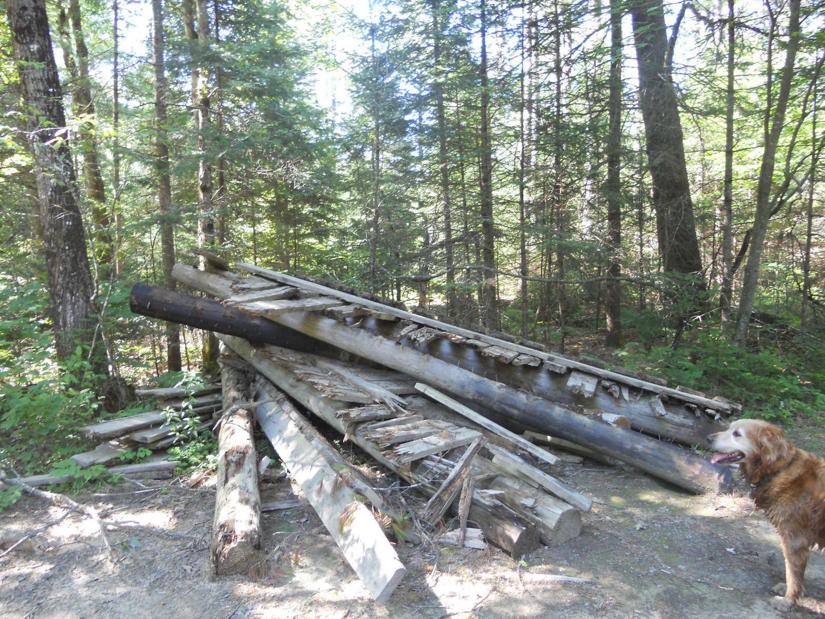 Old bridge remains, Jugtown Road and Smith Brook, Jugtown, July 2012