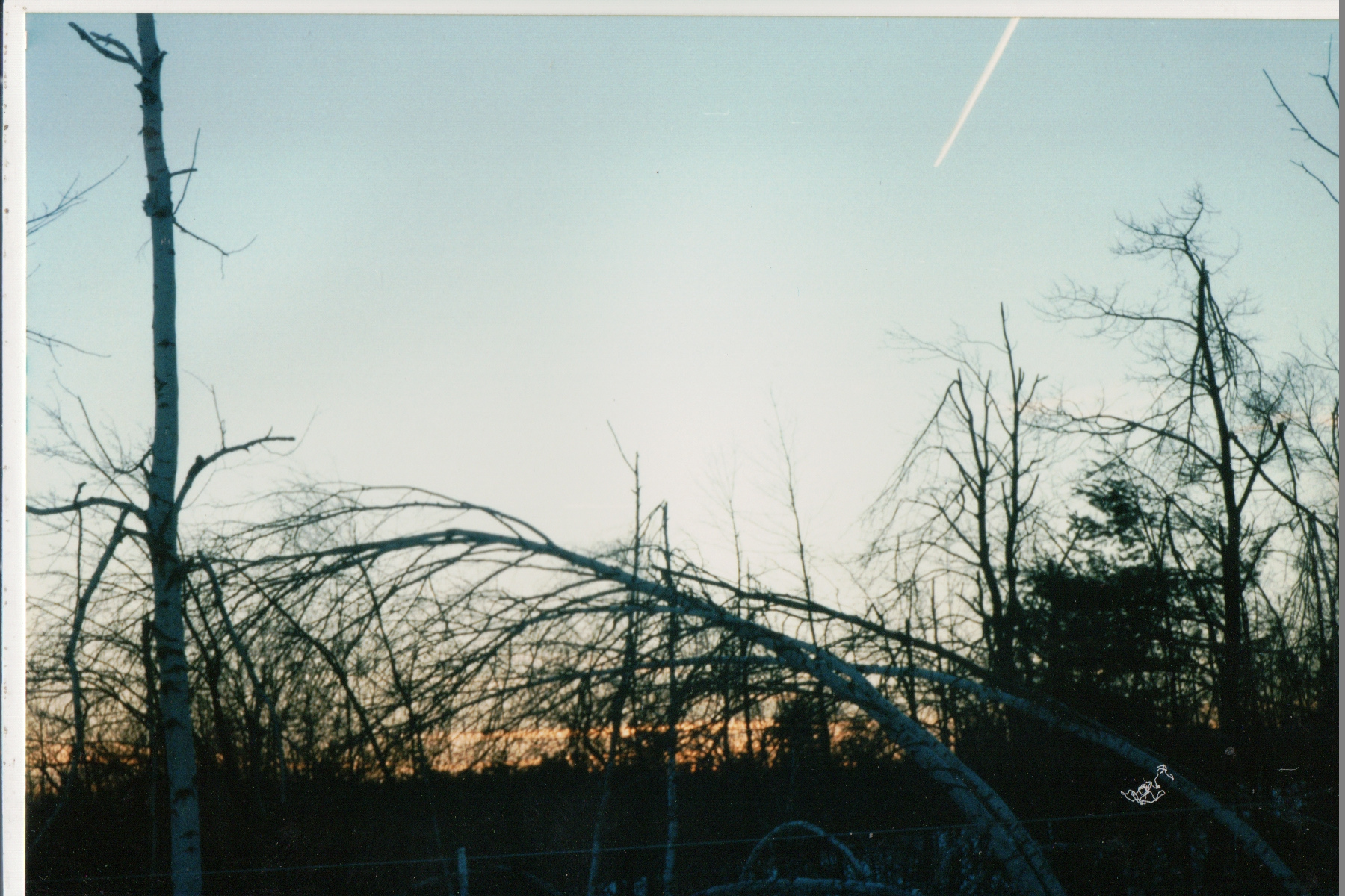 Mike Thorne, Ice Storm ’98 065