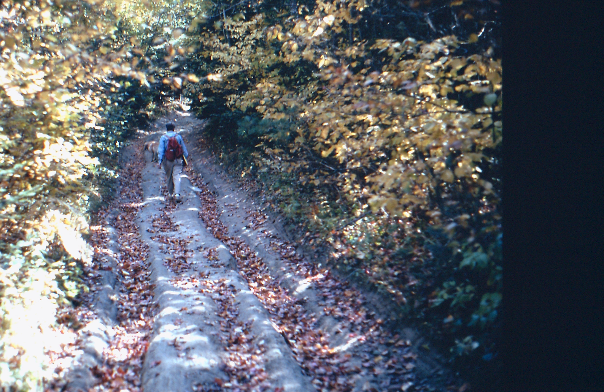 Jean Hankins walking road south of Brook