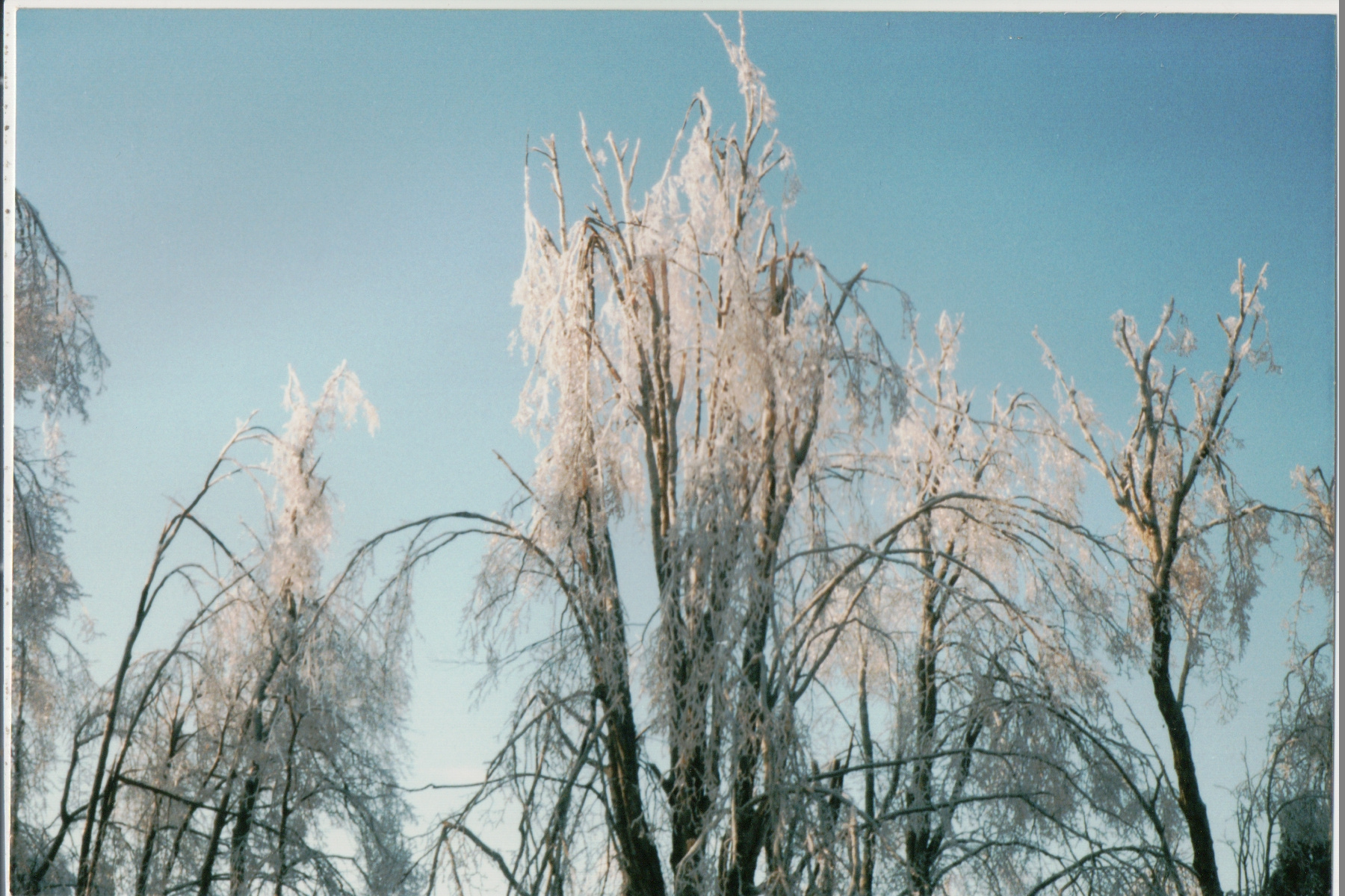 Mike Thorne, Ice Storm ’98 005
