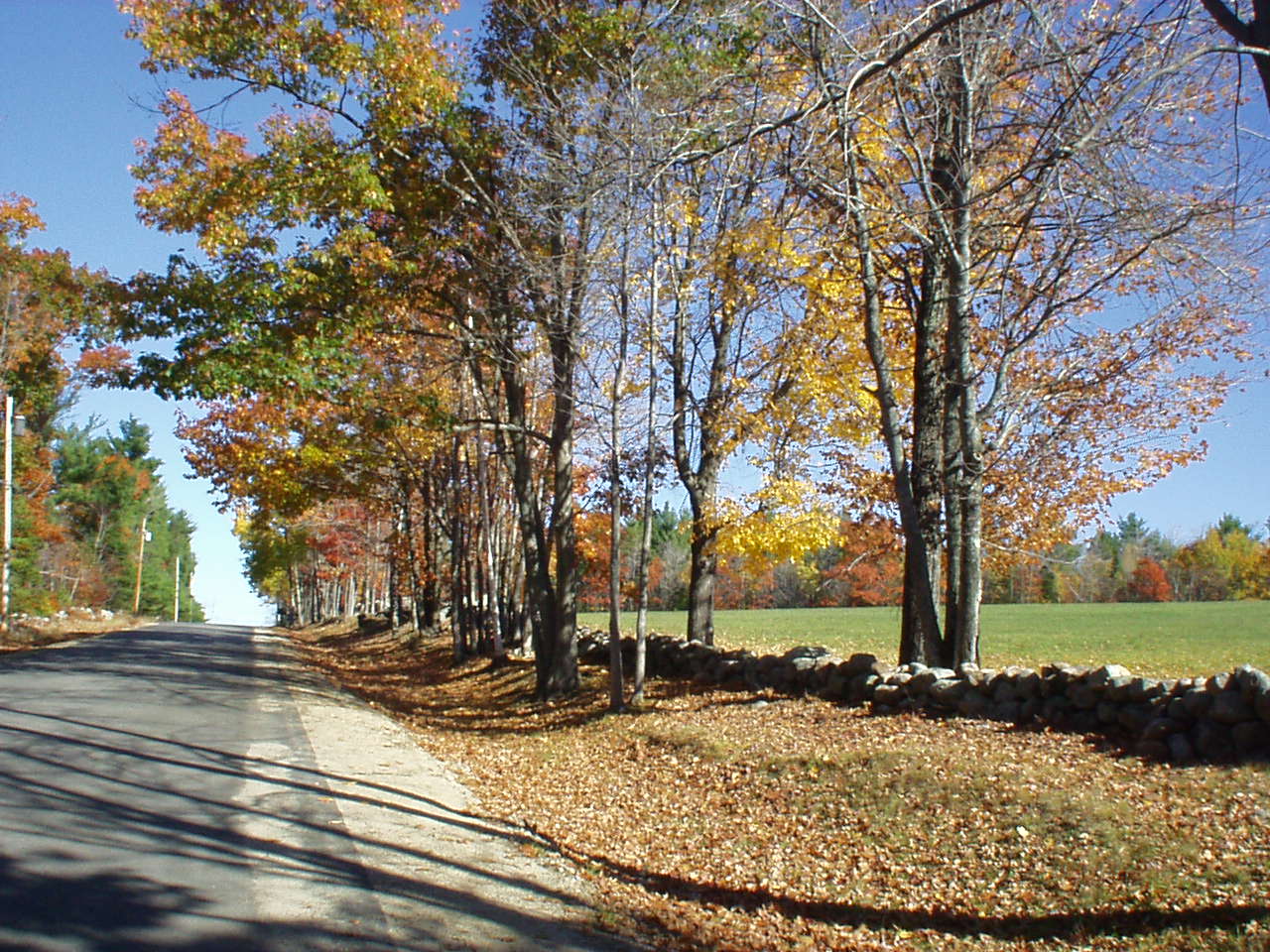 Scene, Peaco Hill Road