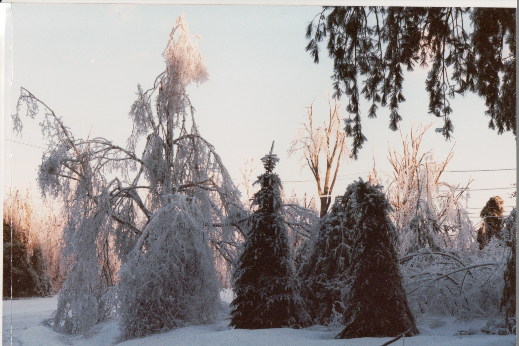 Delehanty ice storm Scribner Hill 032