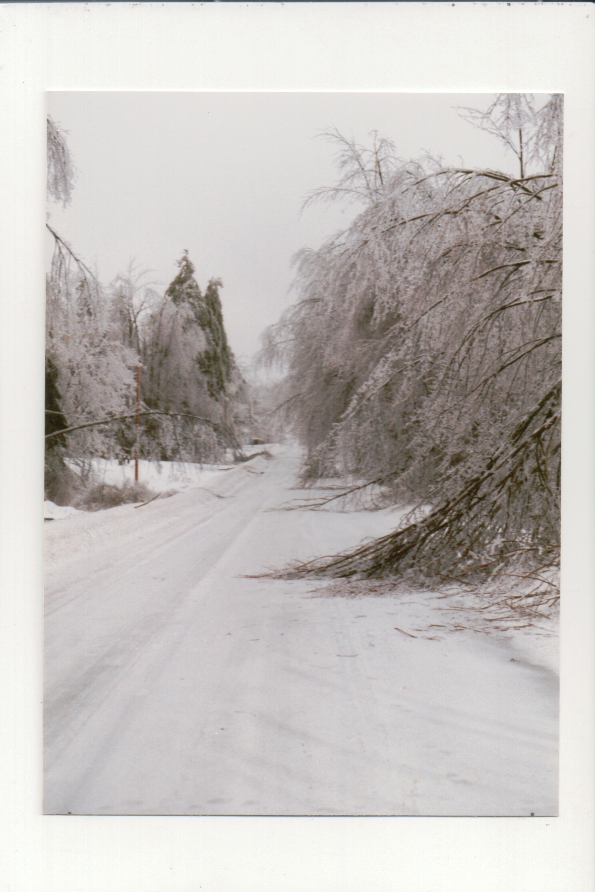 Gore Road