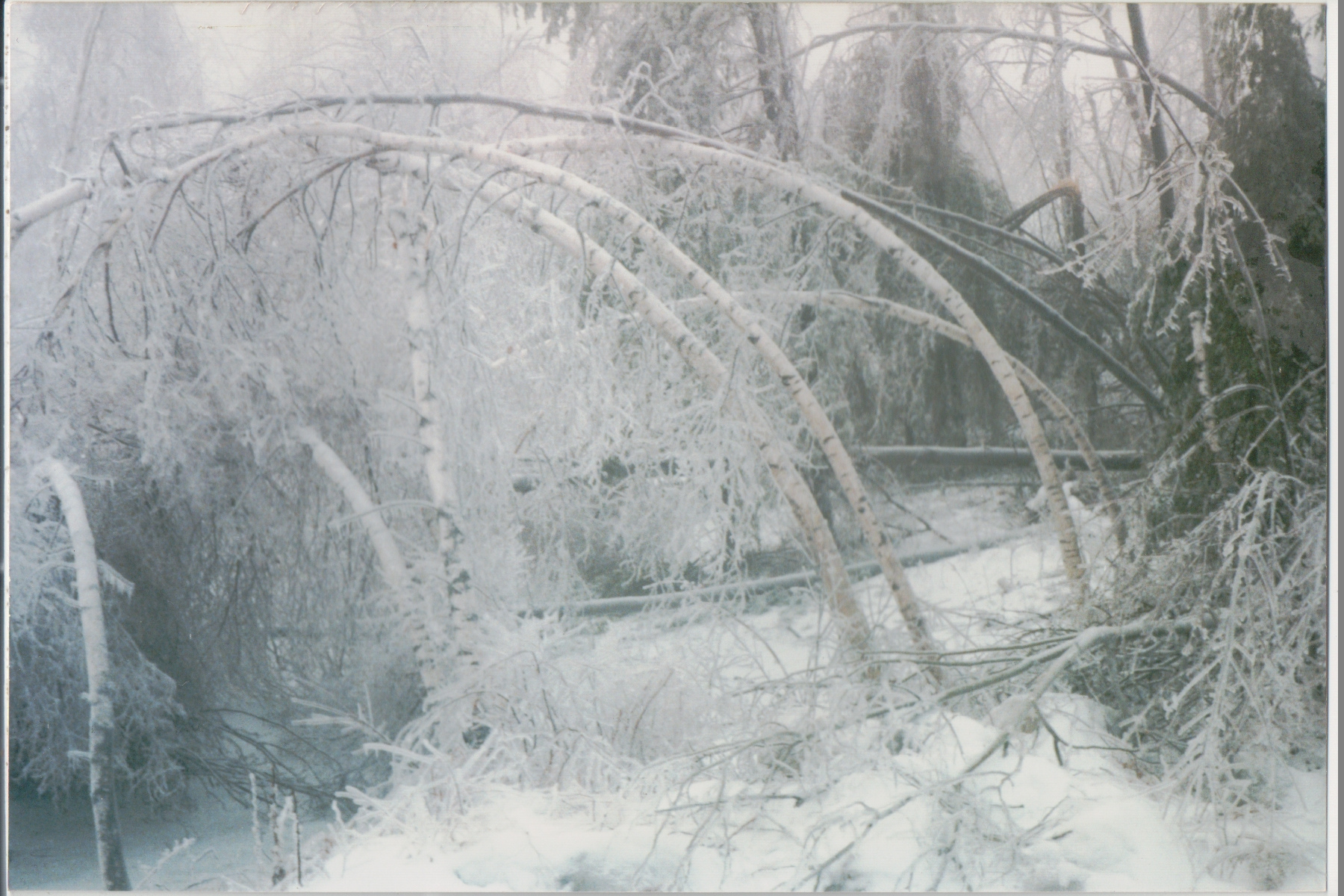 Mike Thorne, Ice Storm ’98 024