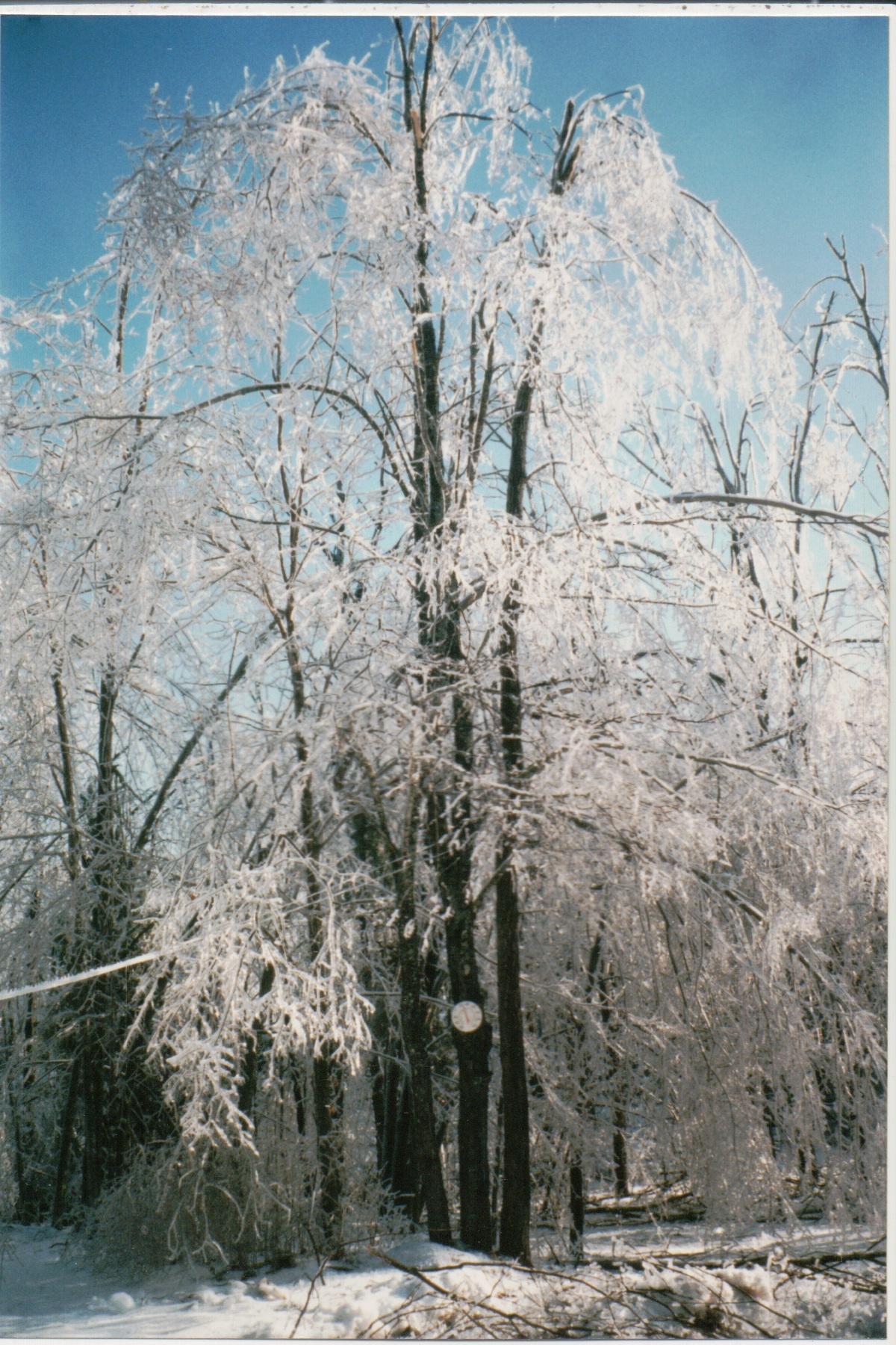 Mike Thorne, Ice Storm ’98 009