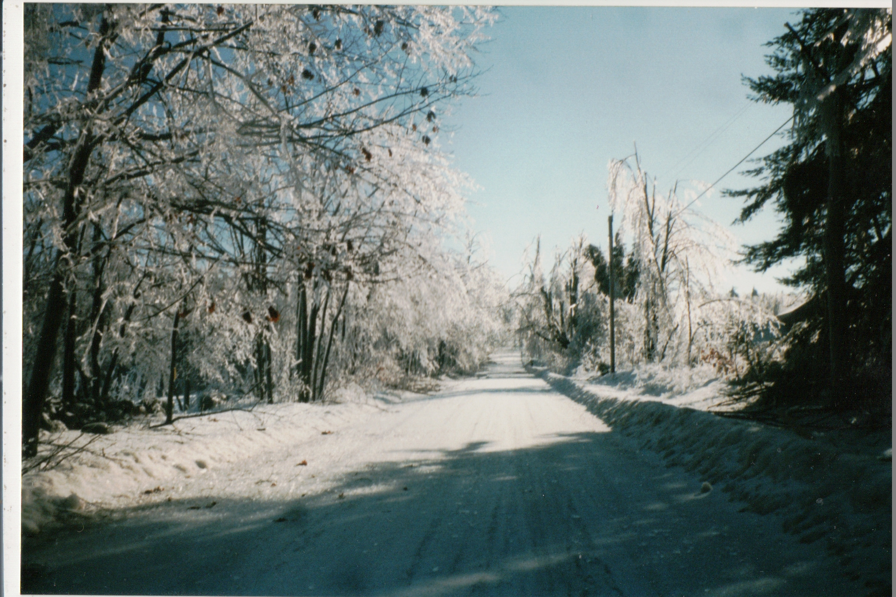 Mike Thorne, Ice Storm ’98 012